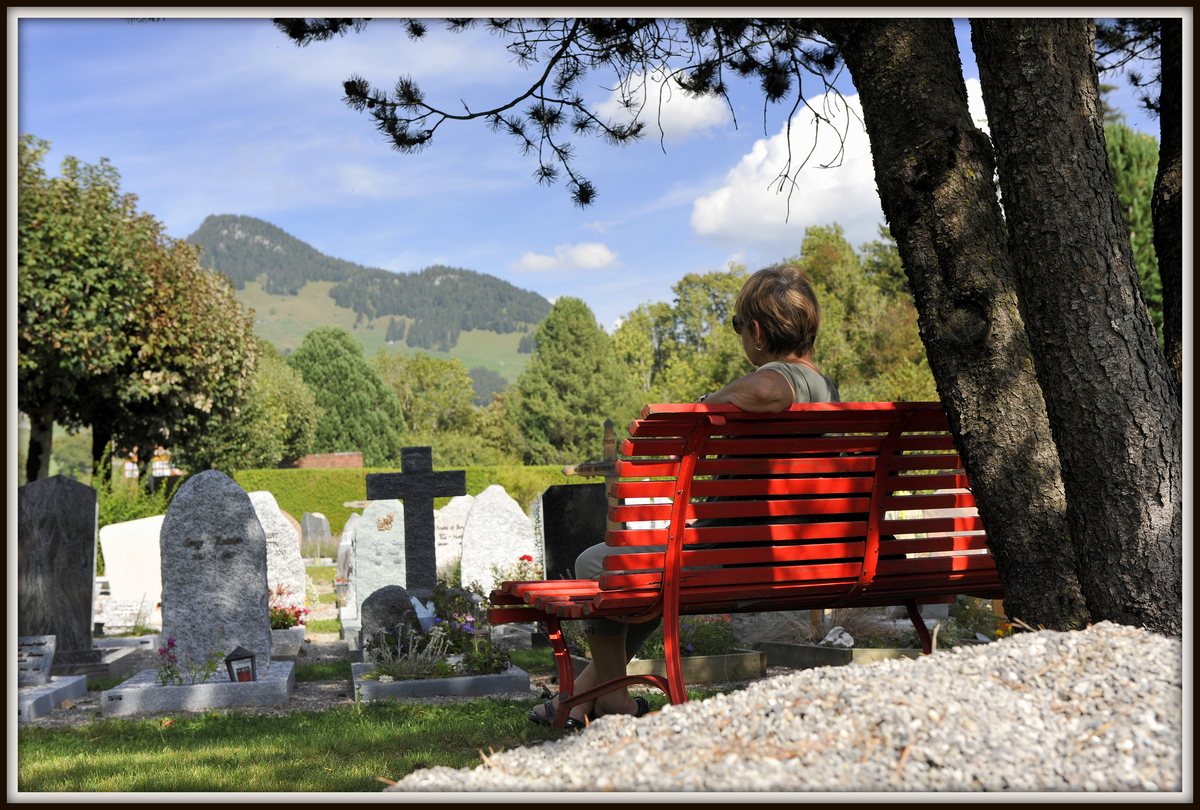 I Should Have Done More - Dave Edwards